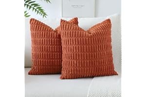 JOTOM Lot de 2 Housses de Coussins en Velours Côtelé Décoratif Canapé Taie d'oreiller Doux Decoration pour Maison Salon Chambre Canapé Décoration 60x60cm (Rouille)