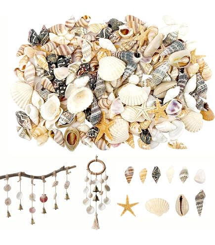 Set Di 90 Conchiglie Naturali Miste 2-6,3 Cm – Per Decorazioni Spiaggia, Artigianato Fai Da Te, Vasi E Acquari