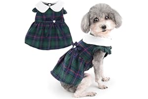 Zunea Abiti per Cani di Piccola Taglia Scozzesi Vestito Abito da Principessa Estivo con Fiocco Carino Cucciolo Vestiti Volant Gonna Senza Maniche Morbido Gilet Abbigliamento per Chihuahua Verde M