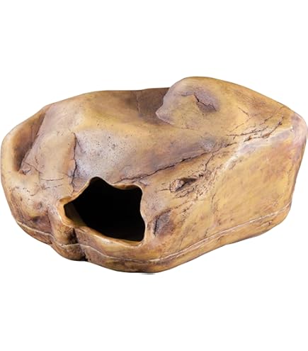 Coco Cave Reptiles Planet - Nascondiglio In Noce Di Cocco Per Terrario | Naturale Per Rettili E Piccoli Animali - Foto 9