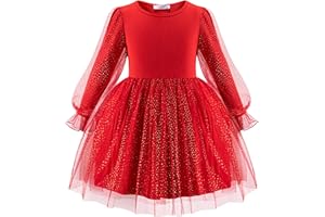 Arshiner Mädchen Kleider Tüll Spleißen Quasten Langarmkleid Kinder Laternen Ärmel A-Linie Rundhals Partykleid Festliche Freizeitkleid Herbst Winter Elegant Kleid für Mädchen 2-7 Jahre