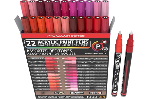 Lot de 22 marqueurs de peinture acrylique rouge et rose de la série Pro Color, pointe extra fine de 0,7 mm pour peindre sur la roche, le verre, les tasses, le bois, le métal, la toile, à base d'eau.