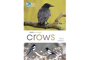 RSPB Spotlight Crows