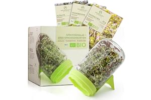 GROWGREENS Lot de 3 pots à germer en verre bio - Kit de culture microgreens pour germes croustillants (luzerne, haricot mungo, radis)