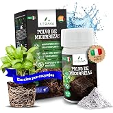 LERAVA Micorrizas en Polvo (50 g) - hongos micorr&iacute;cicos naturales - favorece el enraizamiento de esquejes y orqu&iacute;deas - abono