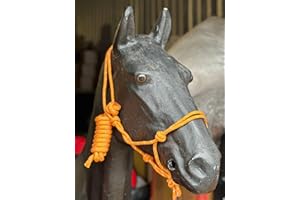 EQUIPRIDE Hi-Viz Reflective Rope Headcollar with Lead Rope Se Fully Adjustable (Cob, Orange)