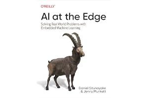 AI at the Edge: Solving Real-World Problems with Embedded Machine Learning