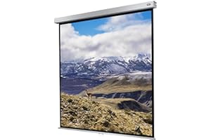 celexon manuell ausziehbare Heimkino- und Business-Rollo-Beamer-Leinwand 4K und Full-HD mit Slow-Return Professional Plus - 160 x 160 cm - 1:1-90" Zoll