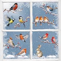 Autocollants Fenêtre Anti-collision Oiseaux - Lot De 48 (33 Colibris + 15 Cercles), Film Prisme Arc-en-ciel, Réutilisables