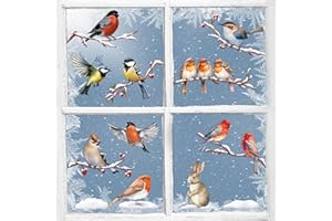 COLOFALLA 9 Pagine Adesivi Finestre Uccelli Vetrofanie Uccelli Adesivi Vetro Decorativi Fiori Farfalle Adesivi Finestre Primavera Decorazioni Pasquali per Finestra Vetrina Specchio Fai da Te (C)