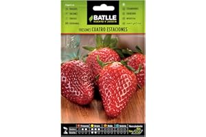 SEMILLAS BATLLE Semillas aromáticas de Battle - Fresones 4 estaciones (0,3g)