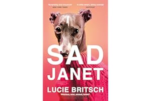 Sad Janet: ‘A whip-smart, biting tragicomedy’ HuffPost