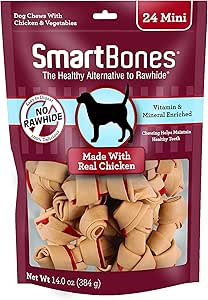 long haired weimaraner dog