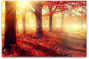 GLASS WALL ART Startonight Impression Sur Verre Acrylique Matin Rouge Dans La Forêt, Imprimée Tableau Oeuvre Originale Motif Moderne Décoration Prêt à Accrocher 60 x 90 cm