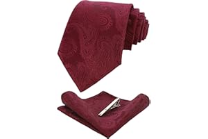 JEMYGINS Conjunto de Corbata y Pañuelo para Hombre Elegante Paisley Graziös con Pinza para Corbata