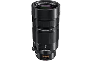 Panasonic LUMIX H-RS100400E 100-400 mm LEICA DG Vario-Elmar Lens - Black