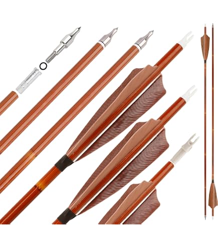 1 Set 20 pcs Tir À L'arc Chasse Composé Arc En Flèche Insérer Queue