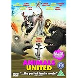 Reef Dvd Region 1 Us Import Ntsc Amazon Co Uk Dvd Blu Ray