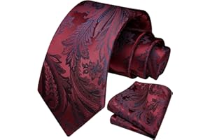 HISDERN Conjunto de corbata y bolsillo con pañuelo de boda floral Paisley para hombre
