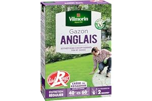Vilmorin 4462714 Gazon Anglais, Vert, 1 kg