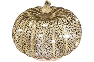SIMPDECOR Glass Pumpkin Light with Timer 14cm Height Mercury Glass Light up Pumpkin Light Silver Home Lamp for Halloween,Fall Autumn,Thanksgiving,Harvest,Tables Centerpieces,and Other Decorations