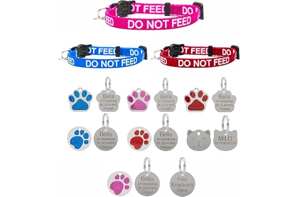 cat tag ideas