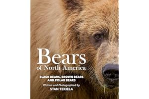 Bears of North America: Black Bears, Brown Bears, and Polar Bears