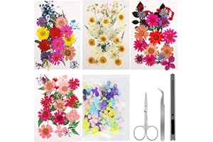 Hiebum 150 Stück Getrocknete Gepresste Blumen, Getrocknete Blumen mit Werkzeugset für Harz, Natürliche Getrocknete Blumen für DIY Kerze/Nageldekor/Harzschmuck/Anhänger/Kunsthandwerk/Scrapbooking