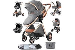 Sianldcone Passeggino 3 in 1 Trio Neonati, Tessuti di Alta Qualità Carrozzina per Neonato, Spinta Bidirezionale Passeggino Reversibile, Visione Aperta Passeggino Trolley (V9 Grey)