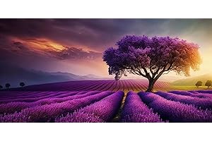 MISHBAY Diamond Painting Paysage Champ de Lavande - 120x50cm Peinture Diamant Adulte - DIY 5D Ensemble Broderie Diamant Kit Complet - Diamond Painting XXL