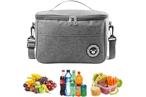 Eagool - Bolsa isotérmica plegable, pequeña bolsa aislada, bolsas de almuerzo impermeables con cremallera, bolsa de picnic apta para oficina, escuela, senderismo (gris)