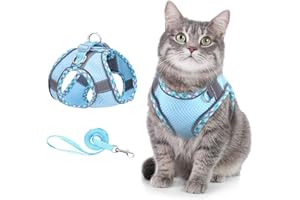 ORIA Katzengeschirr mit Leine Ausbruchsicher, Verstellbares Katzen Harness Geschirr mit Reflektierenden Streifen, Atmungsaktivem Mesh, für Katzen, Kitten, Hunde, Welpen (XXS) - Blau