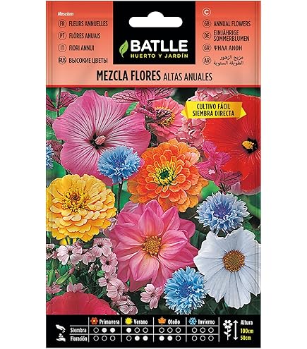 Semi Di Fiori Craspedia Globosa Drumstick 200 Semi Circa Nasturzio Semi - Foto 7