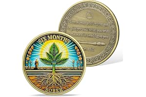 AtSKnSK 6 mesi di moneta sobrietà 1-12 mesi moneta sobrietà Reborn Sober HA NA AA chip di recupero medaglioni narcotici alcolisti Regali anonimi per uomini donne (6 mese)