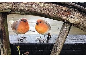 London Ornaments Set of 2 Robins (Set of 2 Robins A)