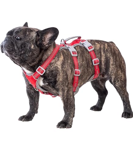 Huntboo Ontsnapbestendig Hondentuig Medium, Anti-Trek Hondentuig met Handvat, Ademend, Verstelbaar, Reflecterende, Lichtgewicht Hondentuig voor Kleine en Grote Honden Buiten (Zwart,S