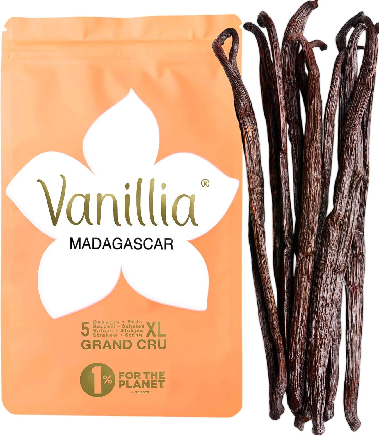 5 Vainas de Vainilla Bourbon de Madagascar XL 15/18cm • GRAND CRU 2025 • Bolsa FreshZIP Vanillia