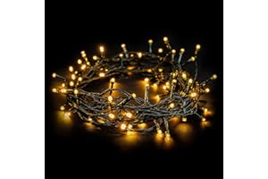 EMOS Guirlande lumineuse LED type Classic Blanc Chaud, longueur 8 m, 80 LED, 230 V avec prise, avec fonction de minuterie, pour un usage intérieur et extérieur, protection IP44, Sapin de Noël