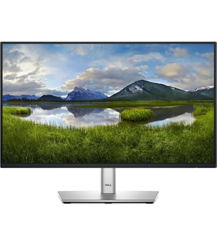Dell Pro 22 - E2225HSM : Amazon.co.za: Electronics
