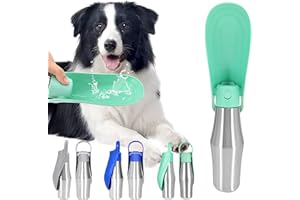 BEBEIBON 750ml tragbare Wasserflasche für Hunde, praktische faltbare Hundetränke aus Edelstahl, auslaufsichere Wasserflasche, geeignet für alle Hunderassen, für tägliche Spaziergänge, Reisen, Wandern, hellgrün