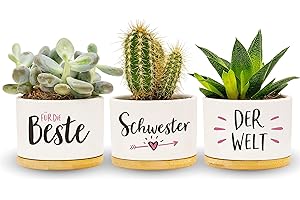 Darlena Beste Schwester der Welt | Schwester Geschenk, Geburtstagsgeschenk | Kräutergarten Geschenke für Schwester zum Geburtstag oder Weihnachten | Blumentöpfe zum Bepflanzen