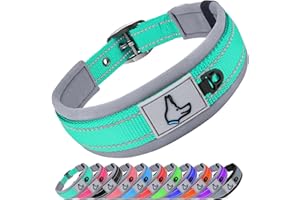 Joytale Collar Perro Grande Resistente, Reflectante Ajustable de Acolchado Neopreno Nylon, Turquesa, L