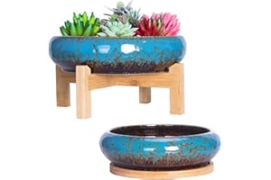 ARTKETTY Succulent Plant Pot - 18.5/25 CM Large Bonsai Pot with Tray Set of 2, Colorful Succulent Pot Ceramic Pots for Cactus Plants Garden Decorative Flower Pot