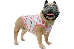 iChoue T-shirt con bulldog inglese in stile cartone animato, vestiti carini per cani di taglia media e grande, canottiere Terrier, Pitbull, ciliegia, taglia XXL