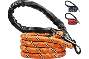 Candure Laisse Chien avec Souples Poignée Rembourrée et Antidérapant Corde pour Chien de Dressage Aux Chiot, Petits, Moyens et Gros Chiens Convient Course à Pied Jogging et Randonnée (Orange)