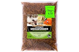 UGF UNDERGROUND FOOD UGF - vers de Farine séchés de qualité supérieure 1 kg, collations d'insectes pour Oiseaux, Hamsters, hérissons, rongeurs, lézards, Tortues