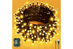 cshare Guirlande lumineuse d'extérieur à piles / USB, 6 m, 60 LED, avec minuterie, étanche IP65, pour sapin de Noël, jardin, décoration intérieure - Blanc chaud