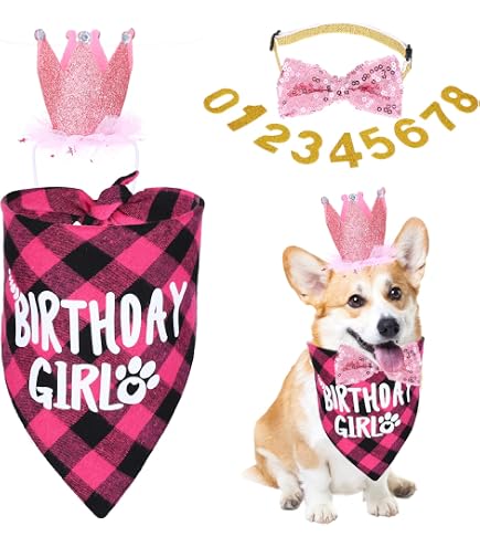 Hunde-Geburtstagsset – Rosa Paillettenmütze & "Birthday Girl" Halstuch Für Kleine Hunde