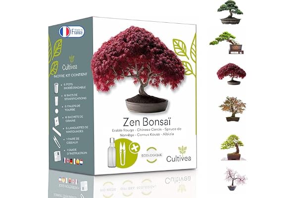 CULTIVEA® Mini Kit Prêt à Pousser 6 Bonsaï - Jardinez et décorez - Idée Cadeau (Red Mapple, Chinese Cercis, Albizia, Cornus Kousa, Norway Spruce) - Made in France