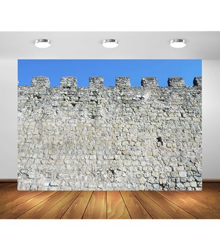 BELECO 2.1x1.5m Fabric Western Wall Backdrop Jerusalem Wailing Wall Backdrop Ancient Stone Wall Judaism Old City Of Jerusalem Israel Backdrop Religious Church Event Decor Photo Booth Studio - View #3